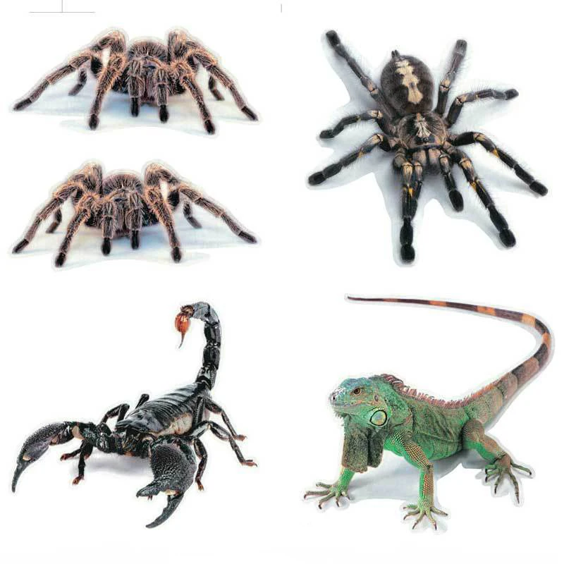 Car sticker animal bumper spider gecko scorpion car styling Abbott vinyl sticker car sticker car and motorcycle accessories 3D
Car sticker animal bumper spider gecko scorpion car styling Abbott vinyl sticker car sticker car and motorcycle accessories 3D