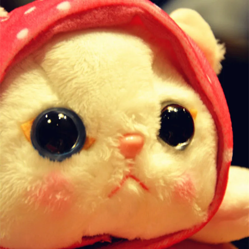 25CM Christmas Kawaii Cat Plush Toy Animal Stuffed Soft Doll Japanese Anime Choo Cat Baby Juguetes Toys For Children 3 Style
25CM Christmas Kawaii Cat Plush Toy Animal Stuffed Soft Doll Japanese Anime Choo Cat Baby Juguetes Toys For Children 3 Style