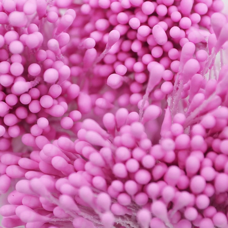 400/800pcs 1.5mm Mini Artificial Stamen Flower Double Head Scrapbook Accessories DIY Wedding party Christmas Decorat Fake Flower
400/800pcs 1.5mm Mini Artificial Stamen Flower Double Head Scrapbook Accessories DIY Wedding party Christmas Decorat Fake Flower