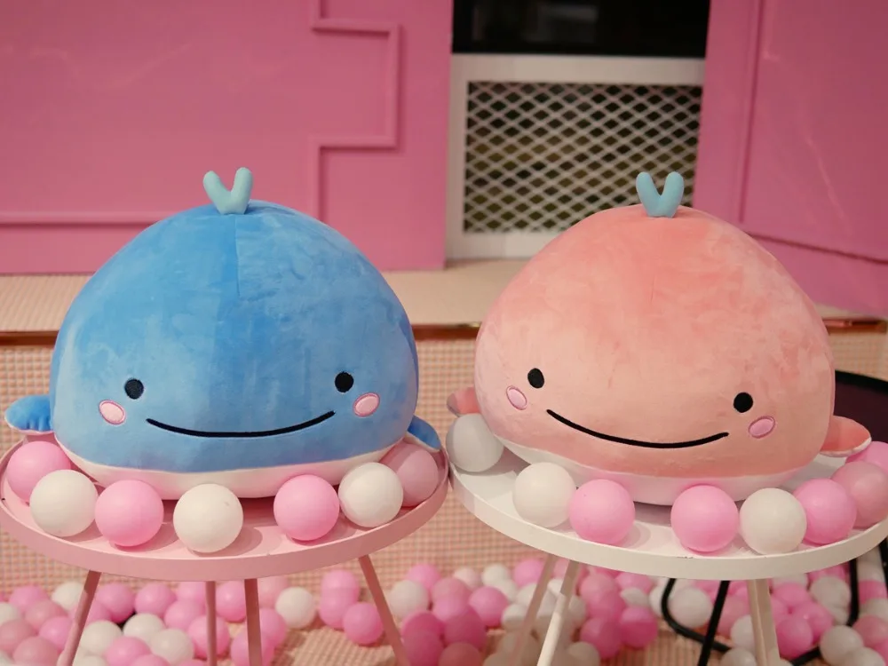 15cm whale plush toy cartoon couple dolphin doll down cotton soft body pillow Birthday Gift For children
15cm whale plush toy cartoon couple dolphin doll down cotton soft body pillow Birthday Gift For children