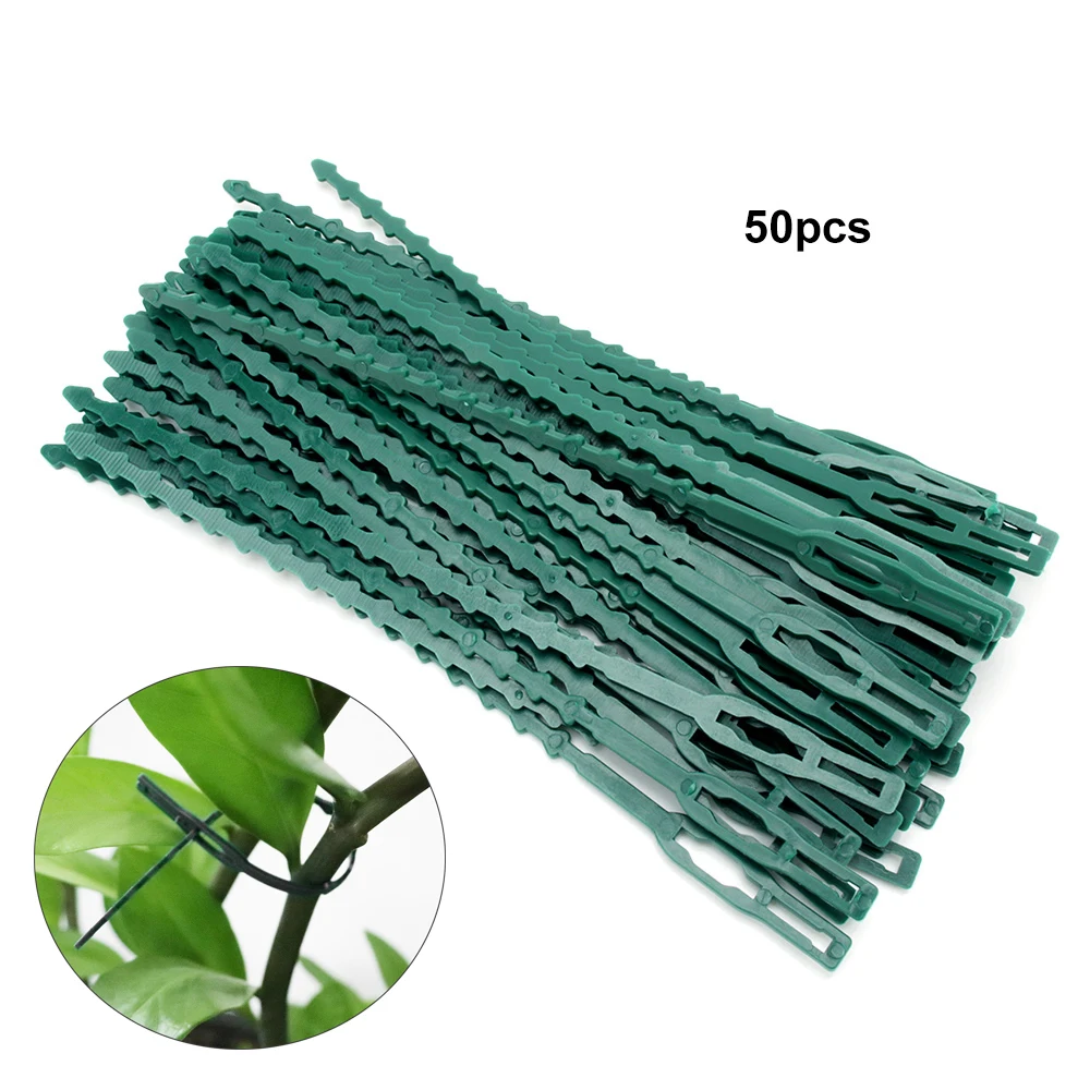 50pcs Garden Cable Ties Adjustable Plastic Plant Support Plant Vine Tomato Stem Clips Reusable Cable Ties Garden Tools
50pcs Garden Cable Ties Adjustable Plastic Plant Support Plant Vine Tomato Stem Clips Reusable Cable Ties Garden Tools