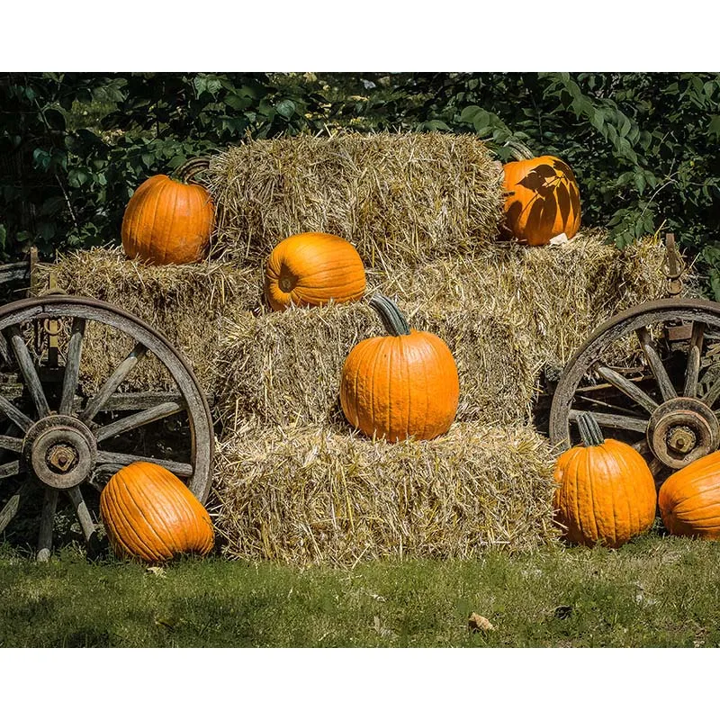 photo studio background vinyl Halloween Backdrops Pumpkin Decoration Background Photographic wheel
photo studio background vinyl Halloween Backdrops Pumpkin Decoration Background Photographic wheel