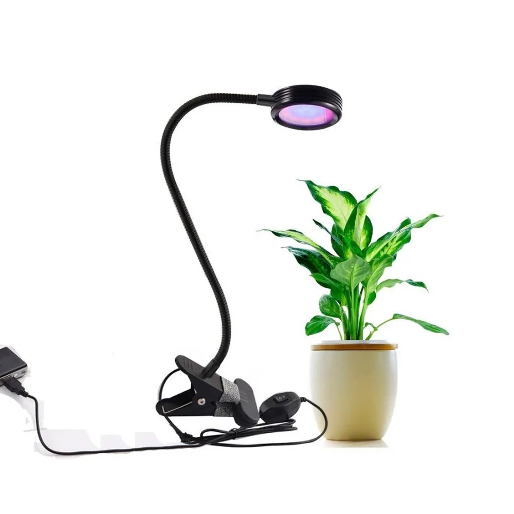 Лампочка led растут prodeli 360 градусов Регулируемый 8 Вт красный и синий полный спектр привело растут завод точечные светильники с 2 уровень затемнения
Лампочка led растут prodeli 360 градусов Регулируемый 8 Вт красный и синий полный спектр привело растут завод точечные светильники с 2 уровень затемнения