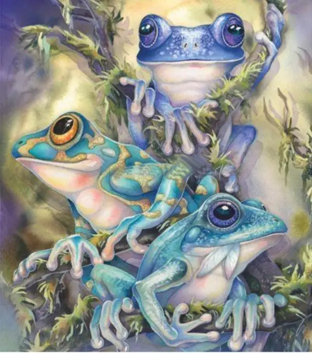 Full Square/Round Drill 5D DIY Diamond Painting "cartoon frog" Embroidery mosaic animal home decoration crafts art Gift
Full Square/Round Drill 5D DIY Diamond Painting "cartoon frog" Embroidery mosaic animal home decoration crafts art Gift