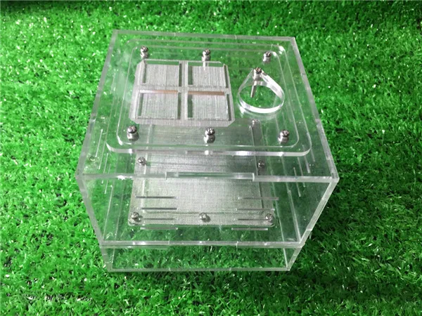 Прозрачное Муравьиное гнездо мастерская для детей декоративная игрушка