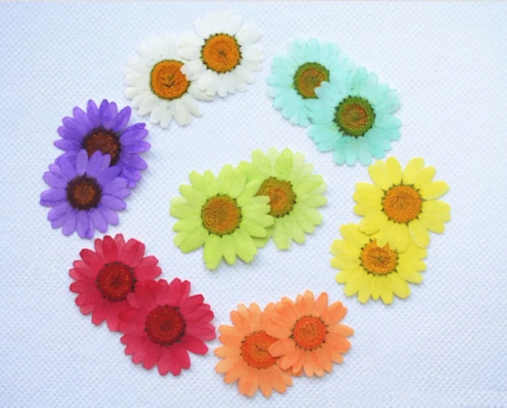 250pcs Pressed Dried Daisy Flower Plants For Epoxy Resin Pendant Necklace Jewelry Making Craft DIY Accessories
250pcs Pressed Dried Daisy Flower Plants For Epoxy Resin Pendant Necklace Jewelry Making Craft DIY Accessories