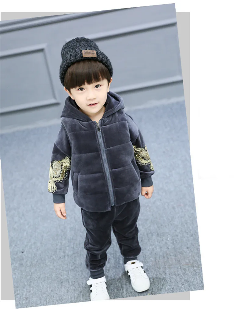 Baby Kids Winter Autumn Clothing Set Children Gold Velvet Suit Boys Girls Eagle Print Hooded Vest Coat + Tops + Pants 3Pcs
Baby Kids Winter Autumn Clothing Set Children Gold Velvet Suit Boys Girls Eagle Print Hooded Vest Coat + Tops + Pants 3Pcs