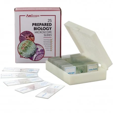 AmScope 25 Glass Prepared Zoological and Botanical Microscope Slides with Plastic Box PS25P 
AmScope 25 Glass Prepared Zoological and Botanical Microscope Slides with Plastic Box PS25P