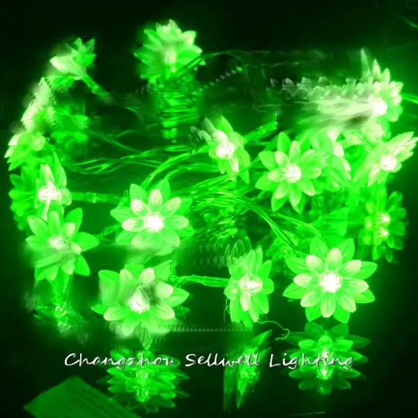 Direct Selling New Great!christmas Lamp Christmas Tree Coloured Light Decoration 2.5m Lotus Led Battery Lighting H058(6)
Direct Selling New Great!christmas Lamp Christmas Tree Coloured Light Decoration 2.5m Lotus Led Battery Lighting H058(6)