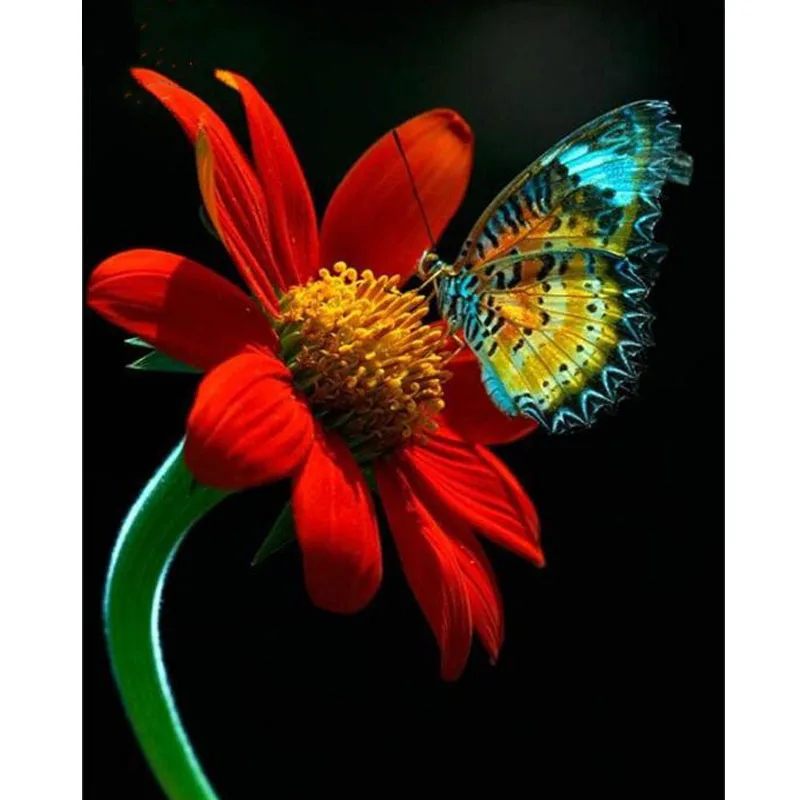 Full Square DIY Diamond Painting Cross Stitch Red Flower 3D Round Embroidery Diamond Mosaic Home & Living Wedding Room Decal
Full Square DIY Diamond Painting Cross Stitch Red Flower 3D Round Embroidery Diamond Mosaic Home & Living Wedding Room Decal