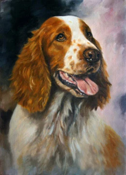 2020 # TOP dog art painting --Welsh Springer Spaniel dog OIL painting---100% handpainted art 24"-- accept custom dog painting
2020 # TOP dog art painting --Welsh Springer Spaniel dog OIL painting---100% handpainted art 24"-- accept custom dog painting