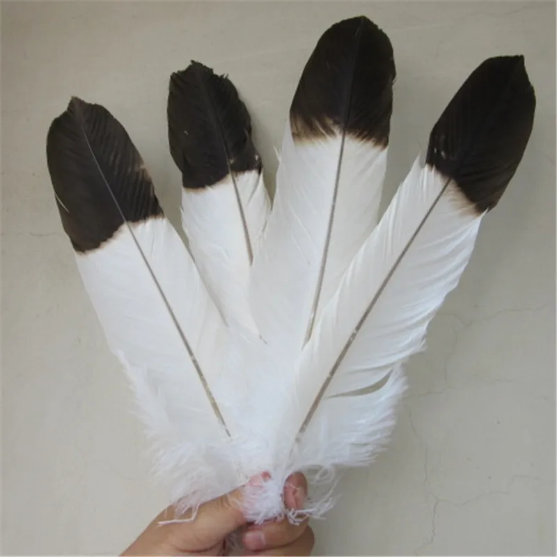 Wholesale 10 pcs 16-18inches/40-45cm white natural Eagle bird feathers Selected Quality Eagle feathers diy jewelry decoration
Wholesale 10 pcs 16-18inches/40-45cm white natural Eagle bird feathers Selected Quality Eagle feathers diy jewelry decoration