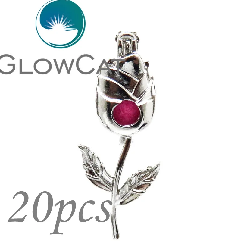 20x KK579 Copper Rose Flower Beads Cage Essential Oil Diffuser Pearl Cage Jewelry Making Locket Pendant For Oyster Pearl
20x KK579 Copper Rose Flower Beads Cage Essential Oil Diffuser Pearl Cage Jewelry Making Locket Pendant For Oyster Pearl