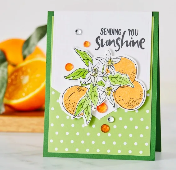 Sunshine harvest transparent clear stamp/coordinating die for DIY Scrapbooking/Card Making/Kid Christmas Fun Decoration Supplies
Sunshine harvest transparent clear stamp/coordinating die for DIY Scrapbooking/Card Making/Kid Christmas Fun Decoration Supplies