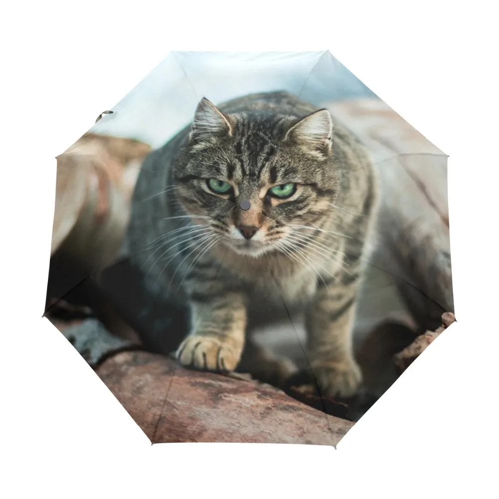 The Fox Tabby Cat Printed Automatic Umbrella Hot sales Fully Automatic Umbrella For women Fashion Creative 3 Folding Umbrella
The Fox Tabby Cat Printed Automatic Umbrella Hot sales Fully Automatic Umbrella For women Fashion Creative 3 Folding Umbrella