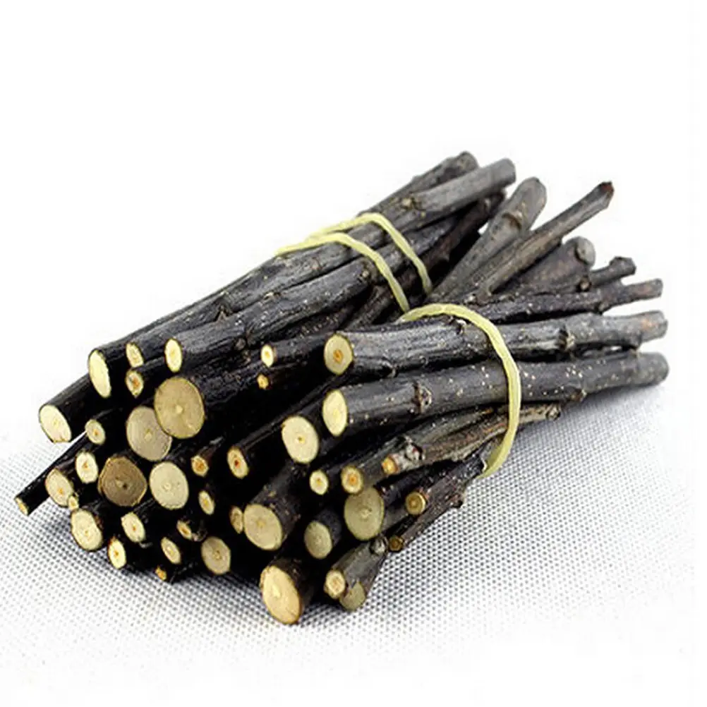Natural Apple Tree Branch Toy for Pet Parrots Rabbits Guinea Pigs Hamsters Wooden Bird Parrot Hamsters Chewing Toys
Natural Apple Tree Branch Toy for Pet Parrots Rabbits Guinea Pigs Hamsters Wooden Bird Parrot Hamsters Chewing Toys