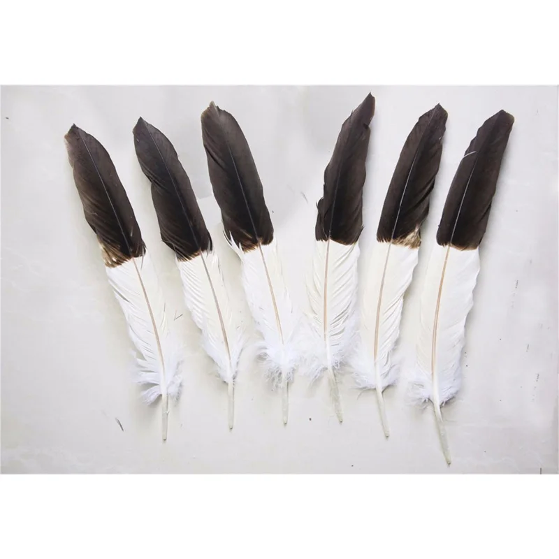 100pcs 100% natural eagle black and white feather 30-45cm/12-18inch for Diy carnival costume mask headdress
100pcs 100% natural eagle black and white feather 30-45cm/12-18inch for Diy carnival costume mask headdress