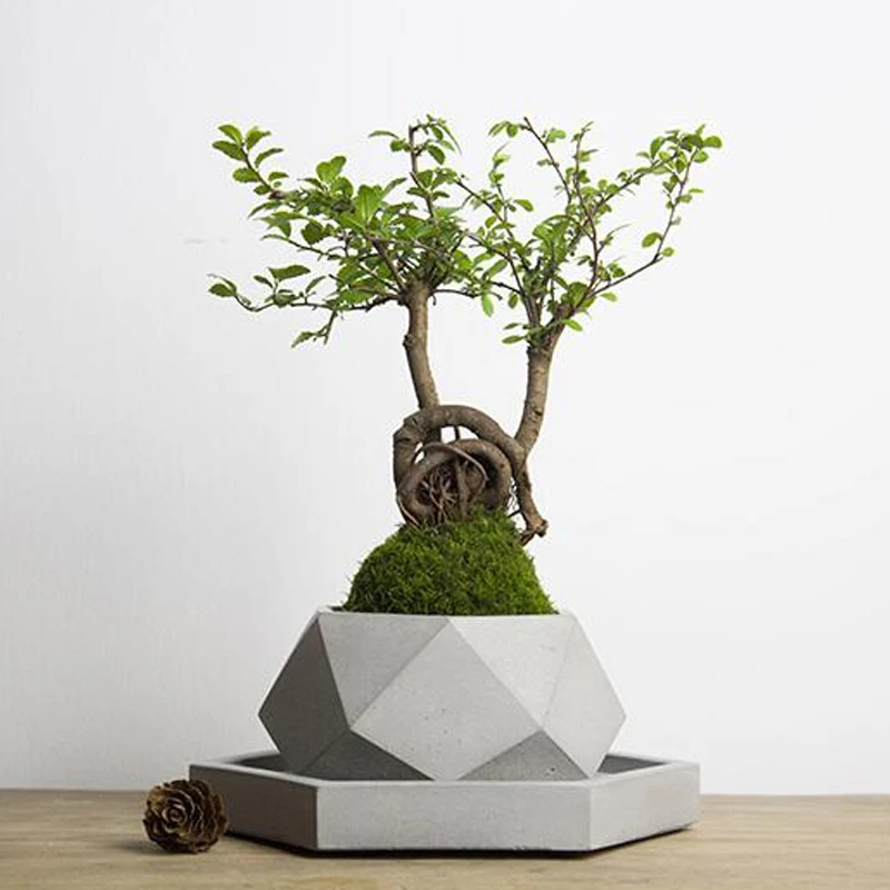 Silicone Concrete Mold Geometric Cement Planter Mould Succulent Plants Home Decorative Tool
Silicone Concrete Mold Geometric Cement Planter Mould Succulent Plants Home Decorative Tool