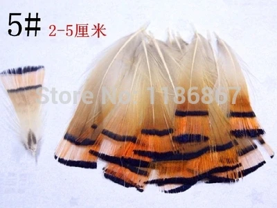 Wholesale !100pcs/lot 2-5cm brown real natural golden pheasant tippet feathers plumage for jewelry accessories craft making KX65
Wholesale !100pcs/lot 2-5cm brown real natural golden pheasant tippet feathers plumage for jewelry accessories craft making KX65