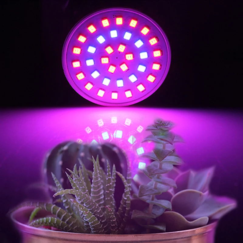 KARWEN LED Grow Light MR16 GU10 E27 Full Spectrum Growing Lamps Indoor Plant Lamp 220V For Plant Seedling Hydroponics System
KARWEN LED Grow Light MR16 GU10 E27 Full Spectrum Growing Lamps Indoor Plant Lamp 220V For Plant Seedling Hydroponics System