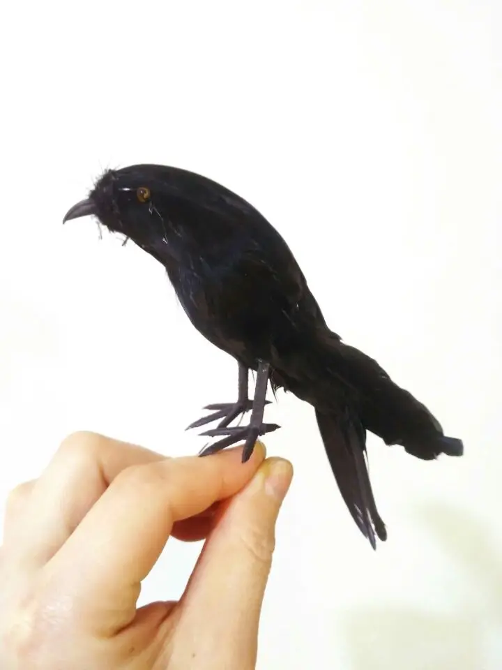 about 20cm simulation bird hard model black feathers Swallow bird prop,garden decoration gift s1414
about 20cm simulation bird hard model black feathers Swallow bird prop,garden decoration gift s1414