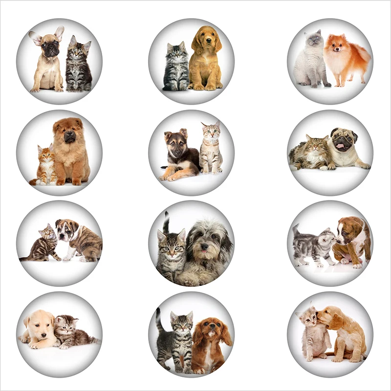 Mixed Glass Snap Button Jewelry Pet Cat And Dog For DIY 18MM Button Snap Bracelet Necklace Jewelry
Mixed Glass Snap Button Jewelry Pet Cat And Dog For DIY 18MM Button Snap Bracelet Necklace Jewelry