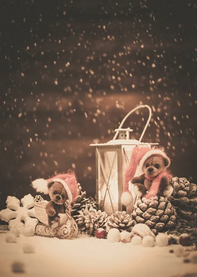 Children Shower Photo Backgrounds Winter-Snow Outdoor Theme Photography Vinyl Background
Children Shower Photo Backgrounds Winter-Snow Outdoor Theme Photography Vinyl Background