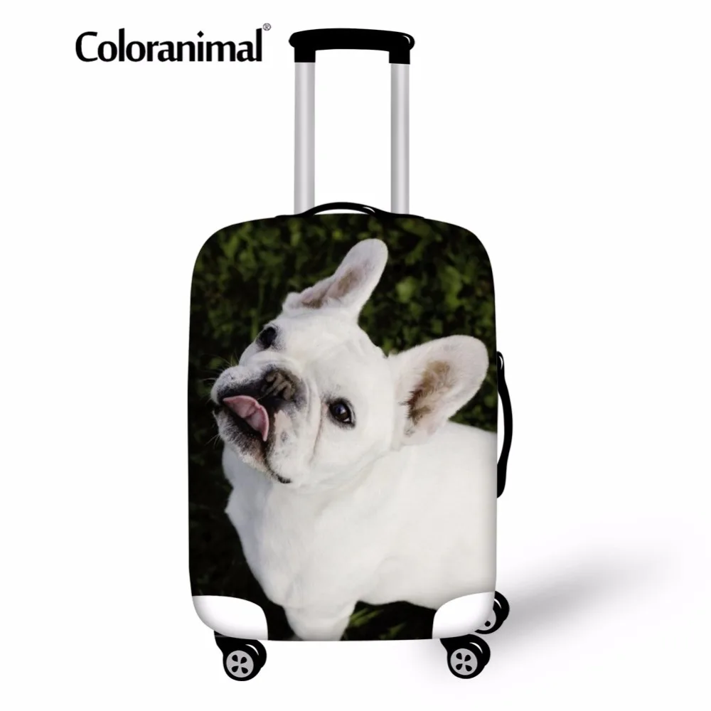 Пылезащитный чехол для багажа Coloranimal, чехол для путешествий с милым цветочным принтом, для домашних животных, собак, французских бульдогов, ...
Пылезащитный чехол для багажа Coloranimal, чехол для путешествий с милым цветочным принтом, для домашних животных, собак, французских бульдогов, ...