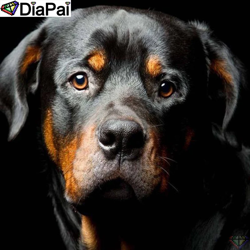 DiaPai 5D DIY Diamond Painting 100% Full Square/Round Drill "Animal dog" Diamond Embroidery Cross Stitch 3D Decor A22074
DiaPai 5D DIY Diamond Painting 100% Full Square/Round Drill "Animal dog" Diamond Embroidery Cross Stitch 3D Decor A22074