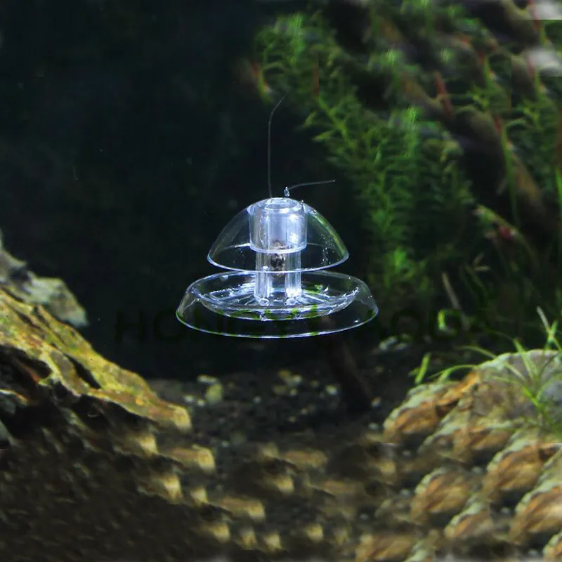 1 piece plastic aquarium fish tank snail trap catcher planarian straw snail catcher shrimp cistern catch nature Cleaner
1 piece plastic aquarium fish tank snail trap catcher planarian straw snail catcher shrimp cistern catch nature Cleaner