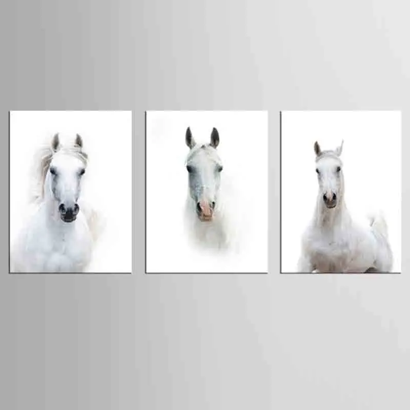 3 Pcs/Set Artist Canvas animal Prints The white horse Wall art Pictures for Living Room home decorative art picture
3 Pcs/Set Artist Canvas animal Prints The white horse Wall art Pictures for Living Room home decorative art picture