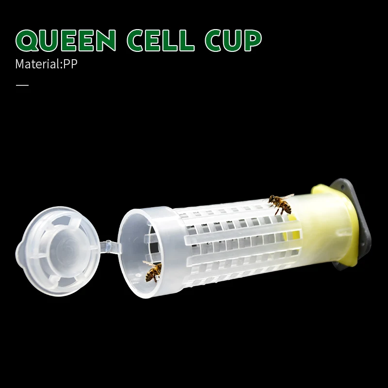 10Set/lot Beekeping Tool Rearing Cup Kit Queen Bee Hair Roller Cages Cell Cup Holder and Cell Fixtures Beekeepers Equipment
10Set/lot Beekeping Tool Rearing Cup Kit Queen Bee Hair Roller Cages Cell Cup Holder and Cell Fixtures Beekeepers Equipment