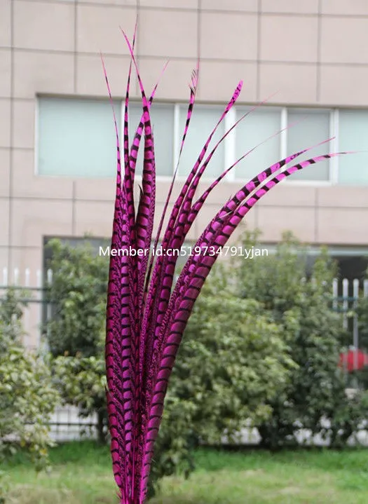 50pcs / 32-36 inch 80-90 carnival party decoration centimeters white belly pheasant pheasant feathers rose tail feathers
50pcs / 32-36 inch 80-90 carnival party decoration centimeters white belly pheasant pheasant feathers rose tail feathers