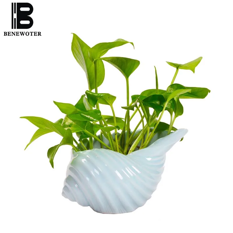 Mediterranean Style Ceramic Flower Pot Creative Shell Conch Hydroponic Plant Container Vase Office Desktop Bonsai Garden Planter
Mediterranean Style Ceramic Flower Pot Creative Shell Conch Hydroponic Plant Container Vase Office Desktop Bonsai Garden Planter