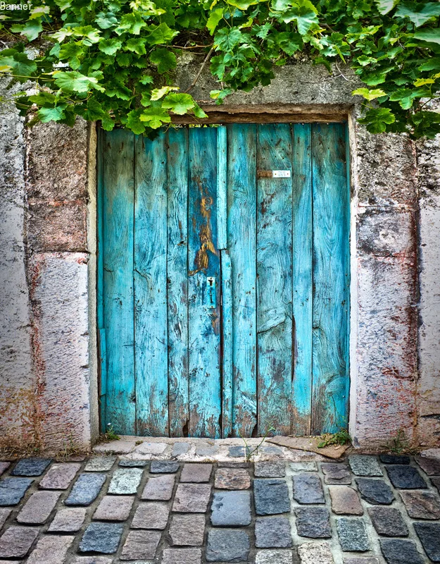 5x7FT зеленые листья старый каменный дом голубой деревянный двери кирпичи двор