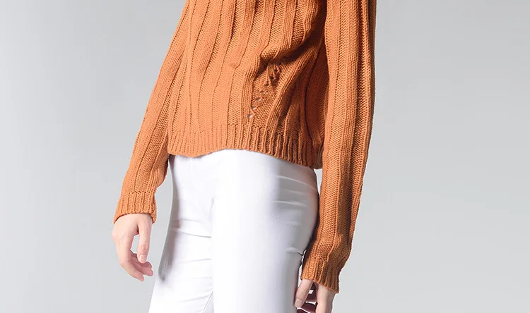 FOLOBE Casual warm autumn winter sweater women jumper loose knitting pullover high neck sweater female winter clothes
FOLOBE Casual warm autumn winter sweater women jumper loose knitting pullover high neck sweater female winter clothes