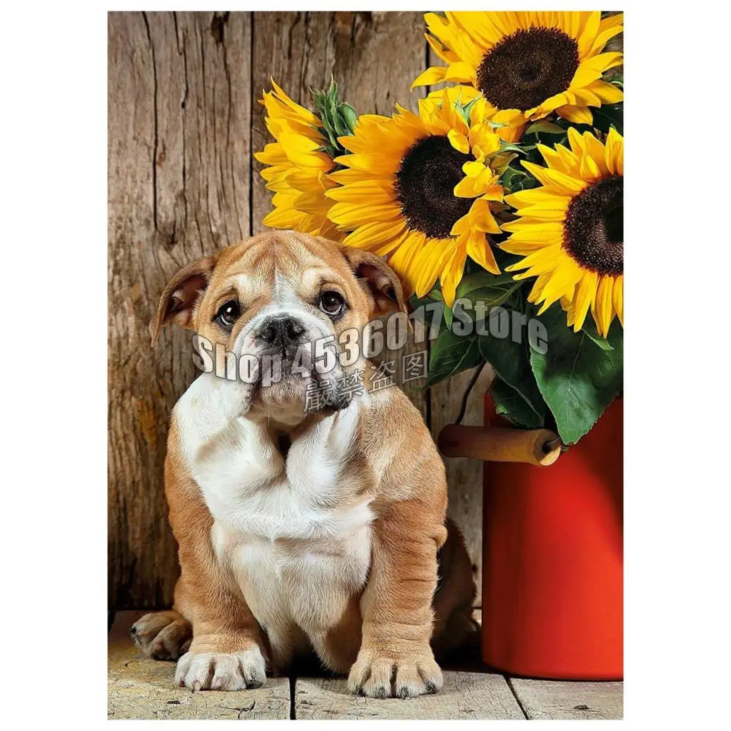 5D Diy Diamond Painting The Bulldog Cross Stitch Embroidery Wall Sticker Diamond Mosaic Dogs sunflower Flowers Crafts Rhinestone
5D Diy Diamond Painting The Bulldog Cross Stitch Embroidery Wall Sticker Diamond Mosaic Dogs sunflower Flowers Crafts Rhinestone