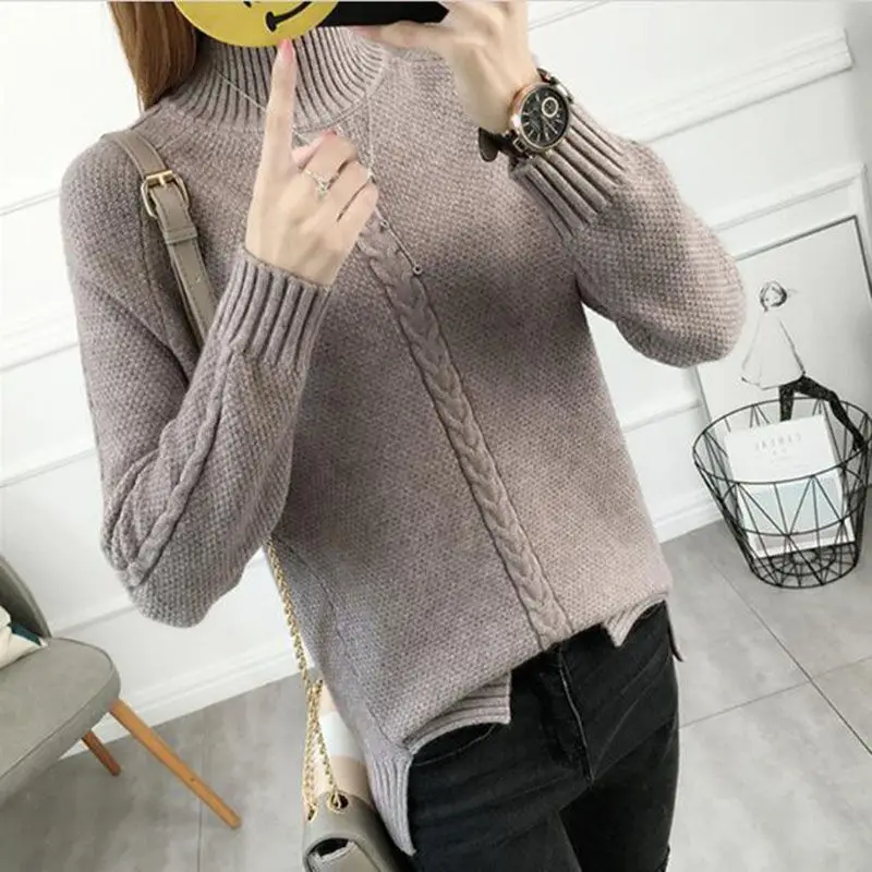 Autumn and Winter Women Turtleneck Sweater Pullover Thick Warm Women's Basic Sweaters Knitted Pullovers Jumper Femme
Autumn and Winter Women Turtleneck Sweater Pullover Thick Warm Women's Basic Sweaters Knitted Pullovers Jumper Femme
