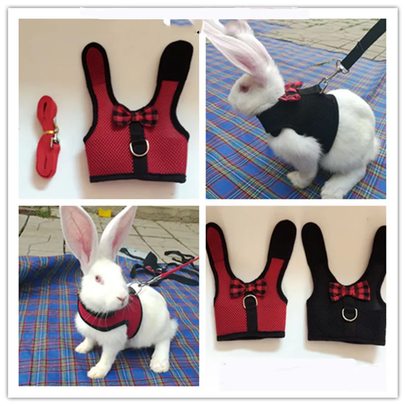 Сетчатый жилет TAILUP для маленьких домашних животных, кроликов, шлейка с поводком для хомяка, кролика, хорька, Гвинеи, щенков, котят, ремни на г...
Сетчатый жилет TAILUP для маленьких домашних животных, кроликов, шлейка с поводком для хомяка, кролика, хорька, Гвинеи, щенков, котят, ремни на г...
