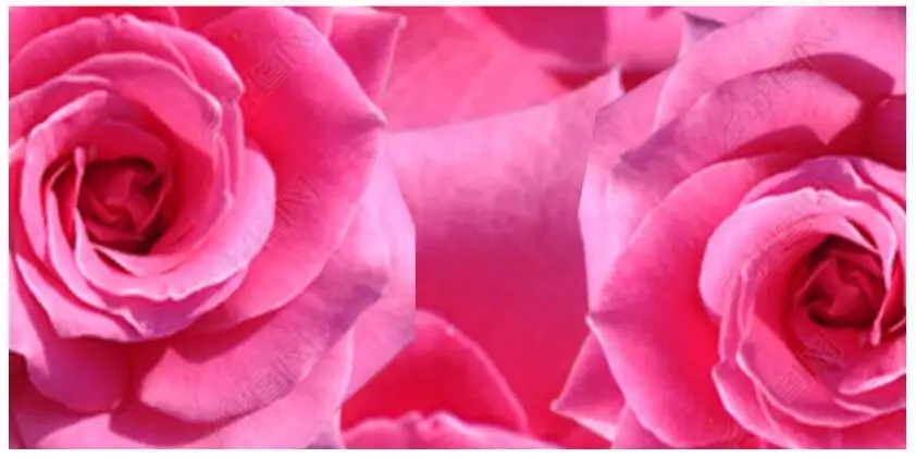 3 d pvc flooring custom photo Self-Adhesive floor Rose Corridor Aisle Mosaic home decor bedroom painting 3d wall mural wallpaper
3 d pvc flooring custom photo Self-Adhesive floor Rose Corridor Aisle Mosaic home decor bedroom painting 3d wall mural wallpaper