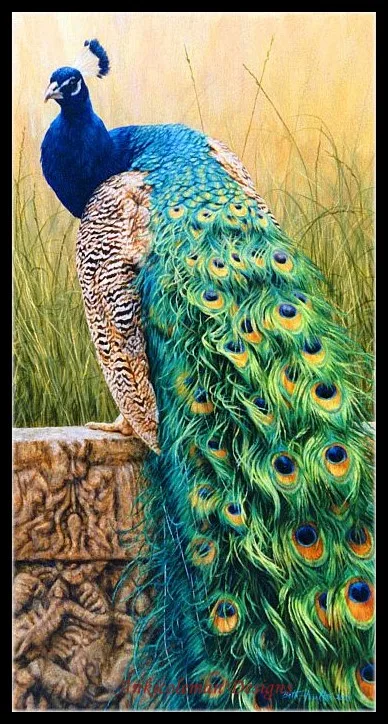Needlework for embroidery DIY French DMC - Counted Cross Stitch Kits 14 ct Oil painting - Royal Splendour
Needlework for embroidery DIY French DMC - Counted Cross Stitch Kits 14 ct Oil painting - Royal Splendour