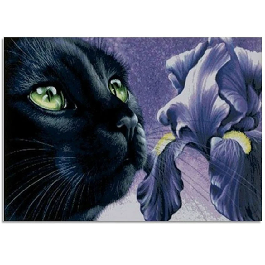 3D Diamond Embroidery Black Cat DIY Square Crystal Rhinestone Pasted Diy Diamond Painting Mosaic Needlework Pictures
3D Diamond Embroidery Black Cat DIY Square Crystal Rhinestone Pasted Diy Diamond Painting Mosaic Needlework Pictures