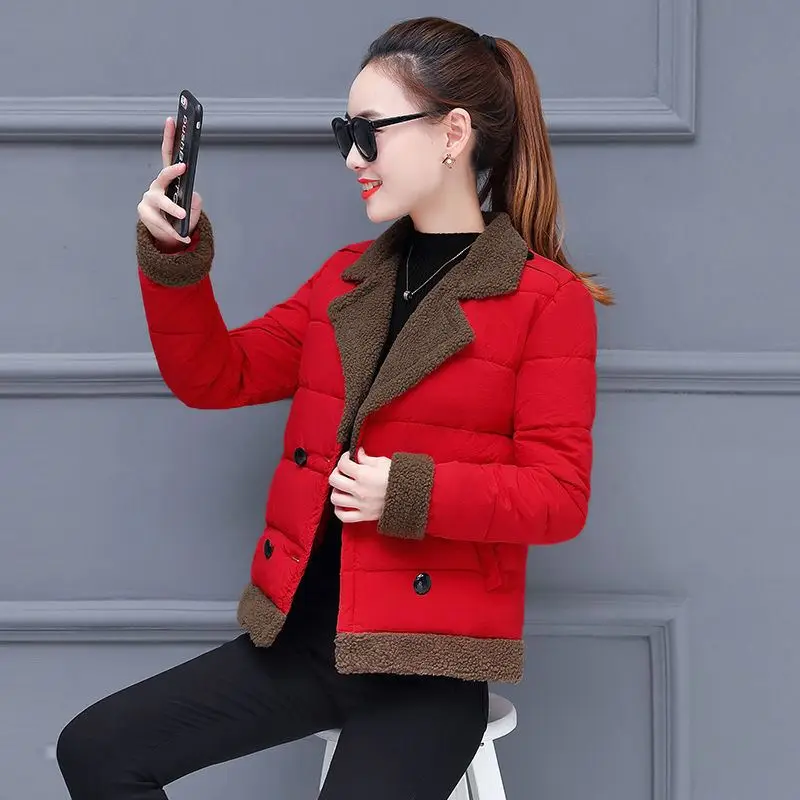 2019 turn down collar women winter coat female outerwear ladies thick warm short jacket slim Double-breasted feminina coat
2019 turn down collar women winter coat female outerwear ladies thick warm short jacket slim Double-breasted feminina coat