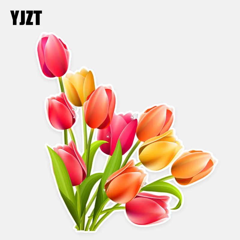YJZT крутые тюльпаны 12,9*14,3 см, персонализированные автомобильные наклейки высокого качества 11A0763
YJZT крутые тюльпаны 12,9*14,3 см, персонализированные автомобильные наклейки высокого качества 11A0763