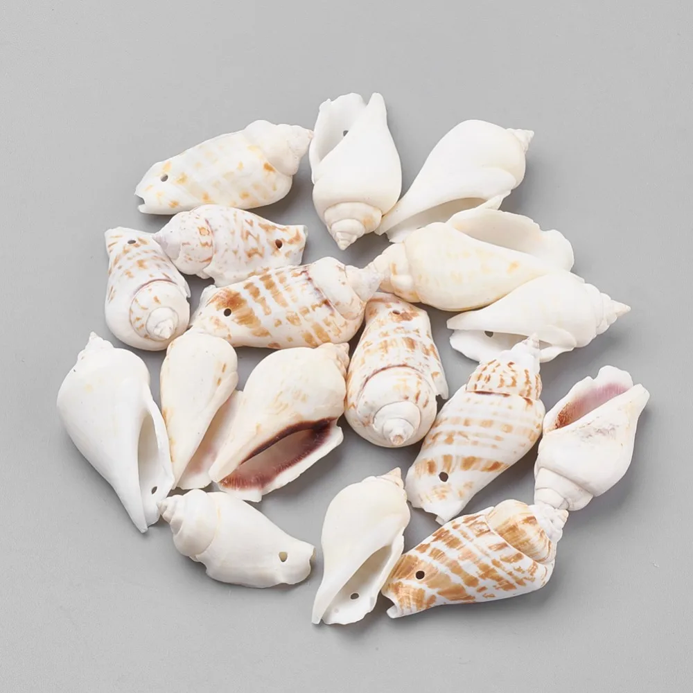 PandaHall 500g 30~45x15~25x10~20mm Conch Shell Bead Seashell for Summer Ocean Hawaii Style Jewelry Making DIY Material Wholesale
PandaHall 500g 30~45x15~25x10~20mm Conch Shell Bead Seashell for Summer Ocean Hawaii Style Jewelry Making DIY Material Wholesale
