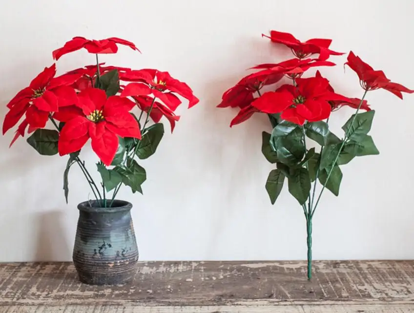 Decorative Flowers Poinsettia flower, Christmas, safflower, artificial flower, potted plant, decoration, flower design
Decorative Flowers Poinsettia flower, Christmas, safflower, artificial flower, potted plant, decoration, flower design