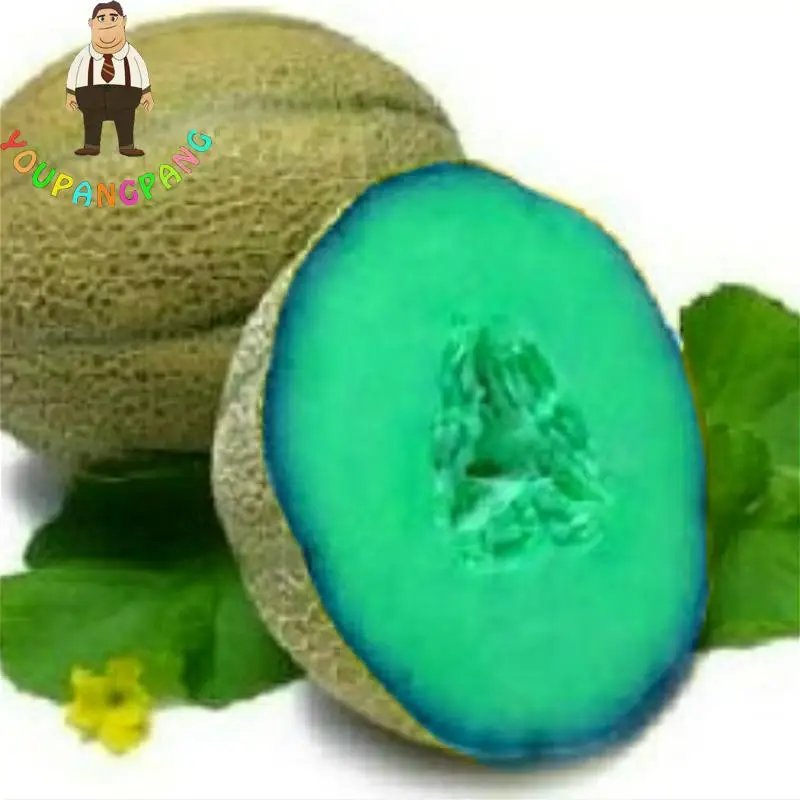 20pcs Super Big Sweet Honey-dew Melon plants Hami Melon Fruit plants Heirloom Succulent Plants Cantaloupe Sementes For Garden .
20pcs Super Big Sweet Honey-dew Melon plants Hami Melon Fruit plants Heirloom Succulent Plants Cantaloupe Sementes For Garden .