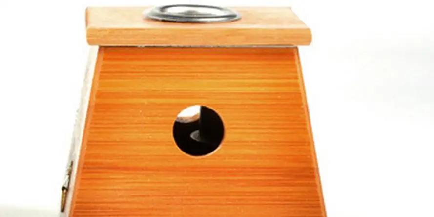 Расслабляющий массаж AI и bamboo одно отверстие мягкий прижигание с мокса дым