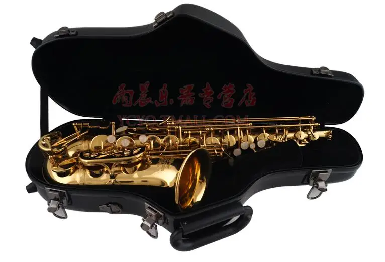 Alto Eb Saxophone Luggage FRP Cassette Box Color Backpack Double Shoulder Suitcase
Alto Eb Saxophone Luggage FRP Cassette Box Color Backpack Double Shoulder Suitcase
