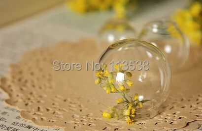 50 Pcs Clear Sphere Dome Glass Bottle DIY Terrarium fits 15mm setting 25*15 glass globe display vials pendants, only glass ball
50 Pcs Clear Sphere Dome Glass Bottle DIY Terrarium fits 15mm setting 25*15 glass globe display vials pendants, only glass ball